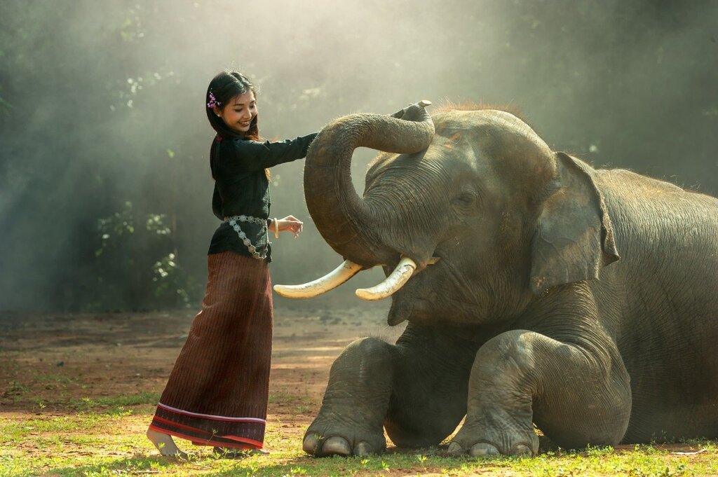 Flicka som har roligt med sin elefant. 