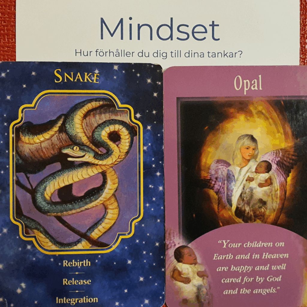 Änglakort för februari 2026. Snake. Rebirth, Opal: Your children are taking care of. Mindset. 