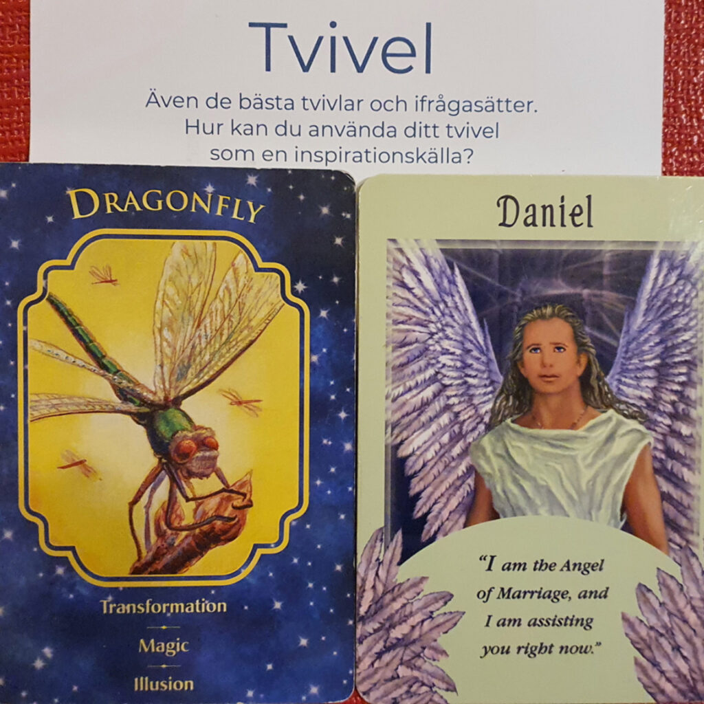 Änglarkort för mars 2026. Dragonfly. Transformation. Daniel. Angel of marriage. 