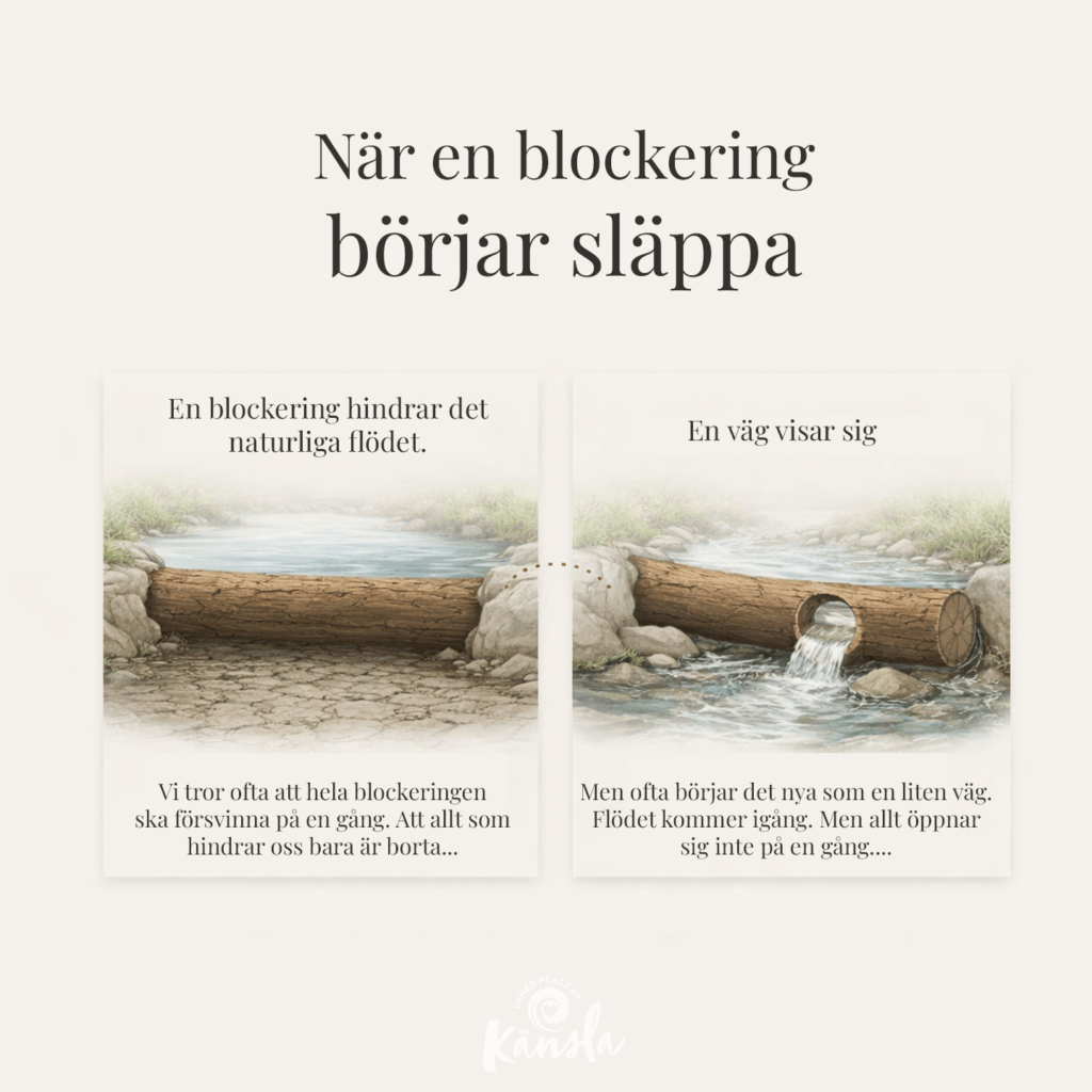 Illustration av ett vattendrag där flödet hindras av en stock. När hindret löses upp blir det ett hål i det, och flödet kommer igång.