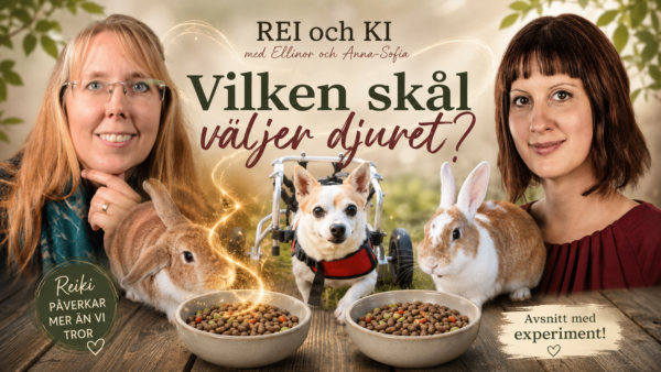 Podden rei och ki - djurexperimentet